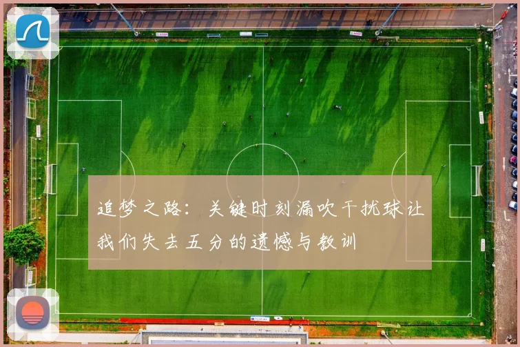 追梦之路：关键时刻漏吹干扰球让我们失去五分的遗憾与教训