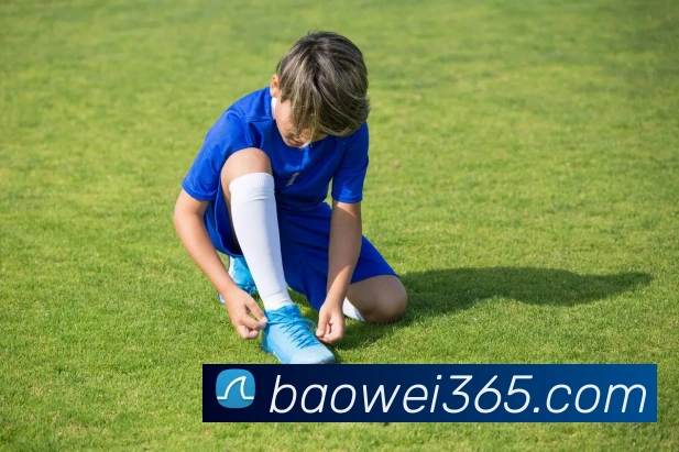 宝威体育平台生态图